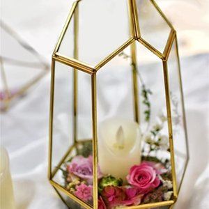 Gold Geometric Terrarium